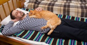 Normal 2026 03 26T095517.954 768x403 1