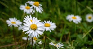 Normal 2026 03 27T080449.651 768x403 1