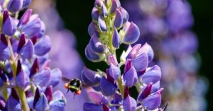 Normal 2026 03 30T070044.502 768x403 1