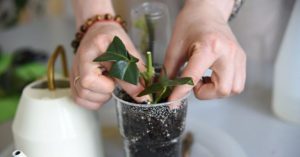 Normal 2026 03 30T075030.574 768x403 1