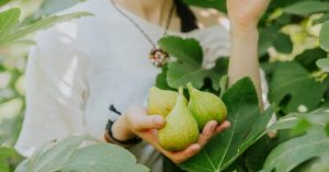 Normal 2026 04 20T075244.695 768x403 1