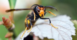 Normal 2026 04 20T080639.860 768x403 1