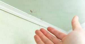 Normal 2026 04 27T092701.371 768x403 1