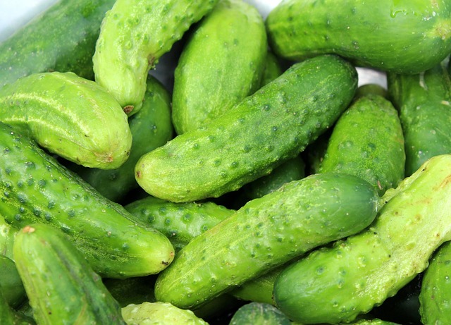 alicja cucumbers g8a0658d66 640