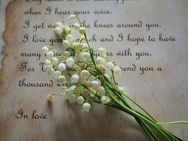 beasternchen letter g41cf340f5 640