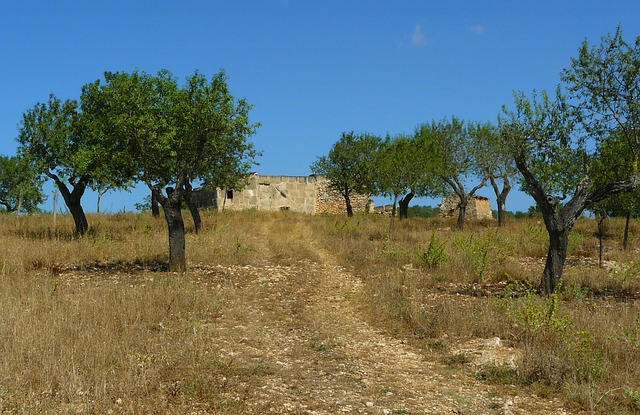 cocoparisienne dirt road g75128839b 640