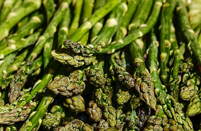 couleur asparagus g5b64dfe75 640