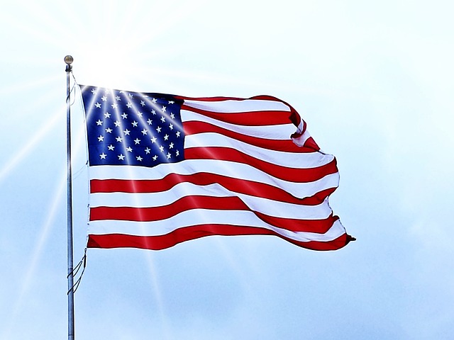 dwilliam usa flag g441168eb3 640