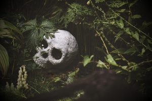 frantisek krejci rainforest g90d02e9e2 640