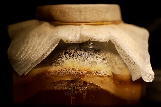 nennieinszweidrei kombucha g5d0a39ee4 640