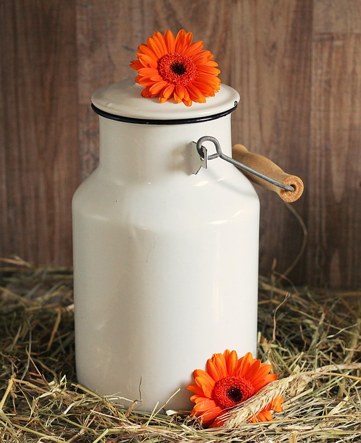 noname 13 milk can gec3b04c72 640