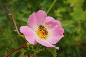 photo 1748435942765 2872e4fa0420