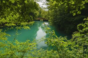 photo 1748435943099 1bc9b983b21c