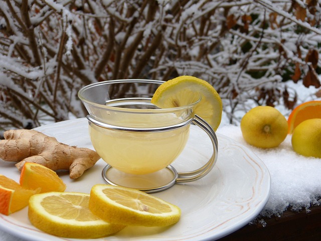 silviarita ginger g7eb818955 640