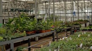 video thumb 34096 69e4454630116