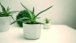 video thumb 34098 69e445472235a