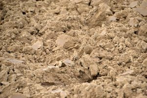 viviane6276 field gf14700361 640