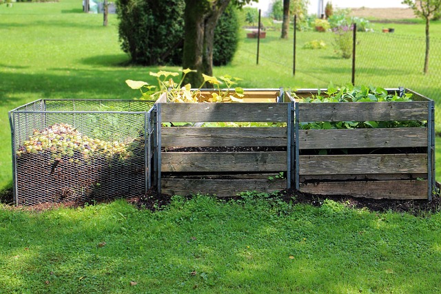 Moucherons dans le compost : l’astuce naturelle qui marche 18 antranias compost gb7313de16 640