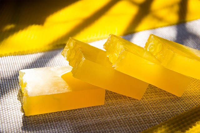 lavkachudes honey g40b105881 640
