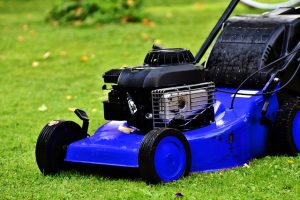 minionsquad blue lawn mower g2fd75d95d 640