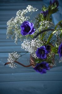 oxi roxy flower g4227575d0 640