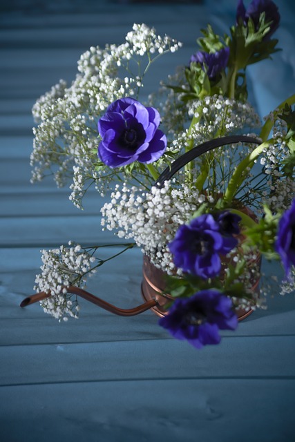 Lune bleue du 31 mai 2026 : un rendez-vous rare 7 oxi roxy flower g4227575d0 640
