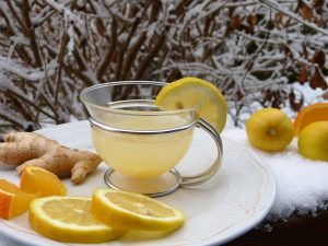 silviarita ginger g1b57a0068 640
