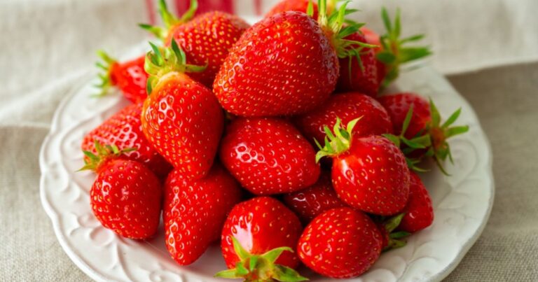 Fraises : grâce à cet ingrédient secret, prolongez la durée de vie de vos fruits 13 Normal 2026 05 27T091115.279 768x403 1