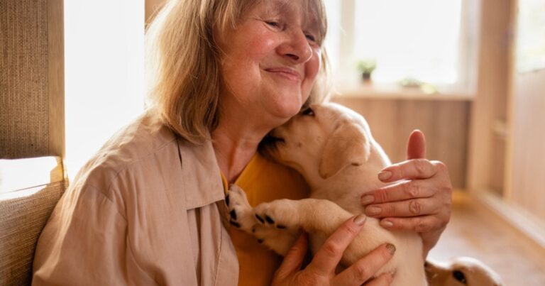 4 conseils avant d’adopter un chien à l’âge de la retraite 25 Normal 2026 06 04T121046.799 768x403 1
