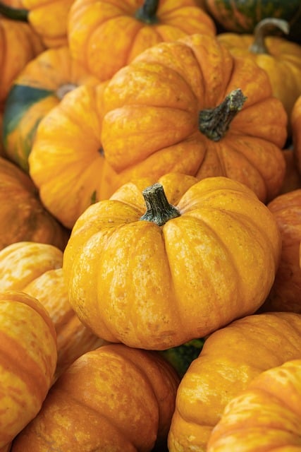 Découvrez les fruits et légumes de saison en juin, les fromages et les viandes 16 couleur pumpkins gd482e94c3 640