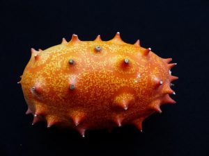 hans kiwano g0b7d9de70 640