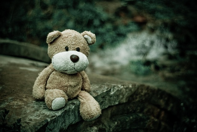 pexels teddy bear g626d33df3 640
