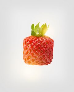 sigueme strawberry square gade75b86d 640