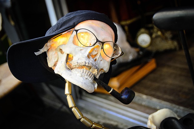 bogitw skull and crossbones g3144b8d5b 640
