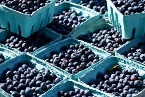 paulbr75 fruit g74d5d5160 640