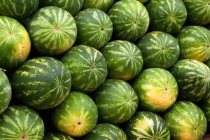 publicdomainpictures watermelons g7dd26bd1b 640