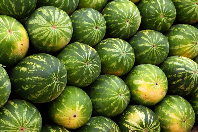Potager pour débutant : 10 légumes et fruits faciles à cultiver 2 publicdomainpictures watermelons g7dd26bd1b 640