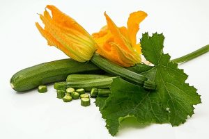 stevepb zucchini gc34cd588a 640