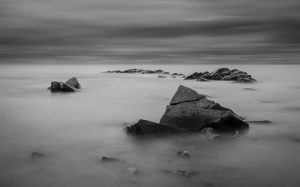 aurelien barre nature gfdad37784 640