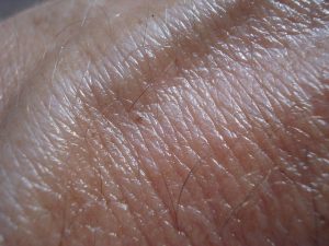 beeki skin gec10e335c 640