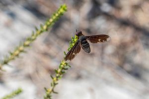 erik karits nature gcb9567a88 640