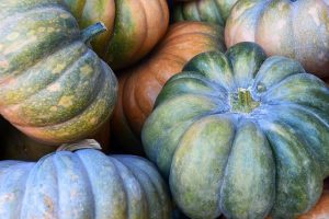 anncapictures pumpkin gc5b2911df 640
