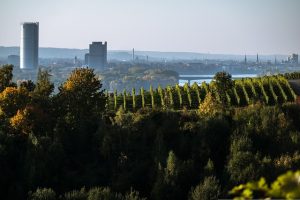 didgeman vineyard g60735c1ee 640