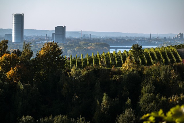 didgeman vineyard g60735c1ee 640