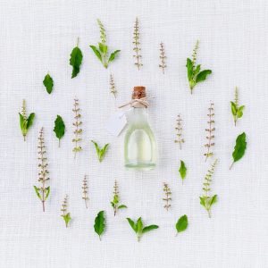 kerdkanno basil gb8d150f2c 640