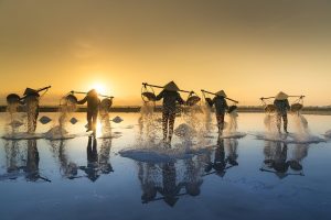 quangpraha salt harvesting g5bd013918 640
