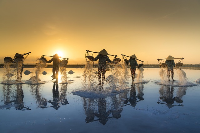 La Fleur de sel de Guérande bien meilleure que les sels fins, voici pourquoi 3 quangpraha salt harvesting g5bd013918 640