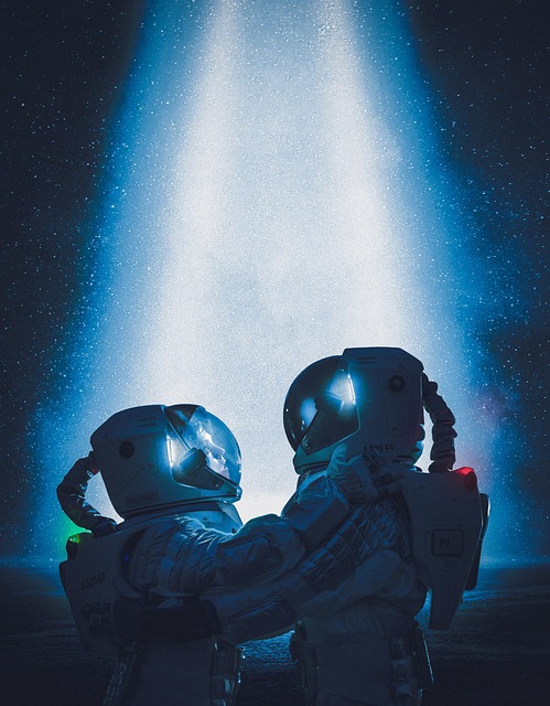 Punaises : comment bloquer l’invasion automnale à vos portes ? 14 franciscoherrera astronaut gcd5912b79 640