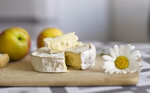 zavtrak92 cheese g3fdcca689 640